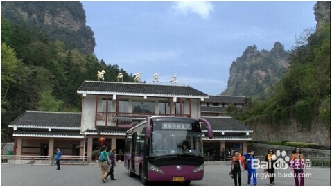 拍客张家界《旅行好帮手》