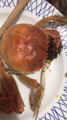 金秋吃蟹小贴士