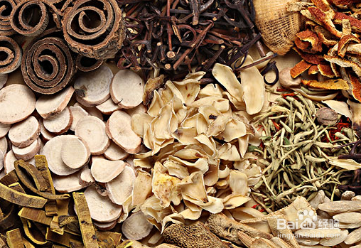 药学：中药养生之银杏