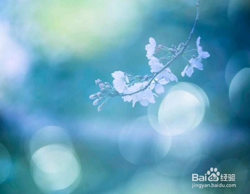 安逸,对于年轻的你来说,与毒药何异?