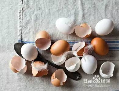 她把这个丢进花盆,植物不发黄不干枯多养好几年