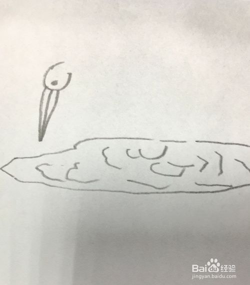 如何画一只捕鱼的鹤