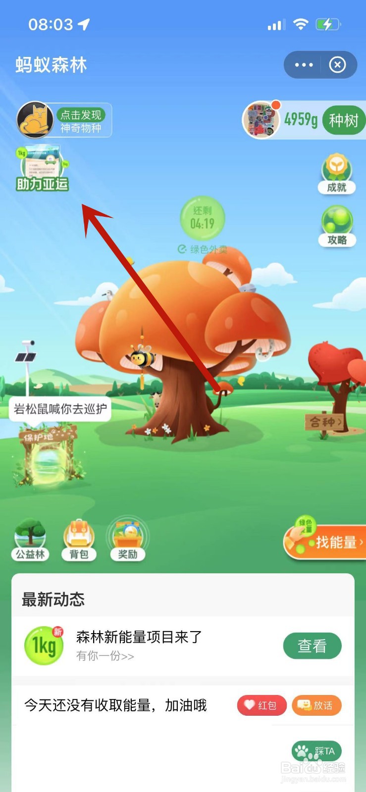 蚂蚁森林助力亚运规则