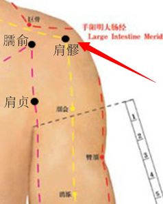 肩髎穴位位置图及作用 百度经验