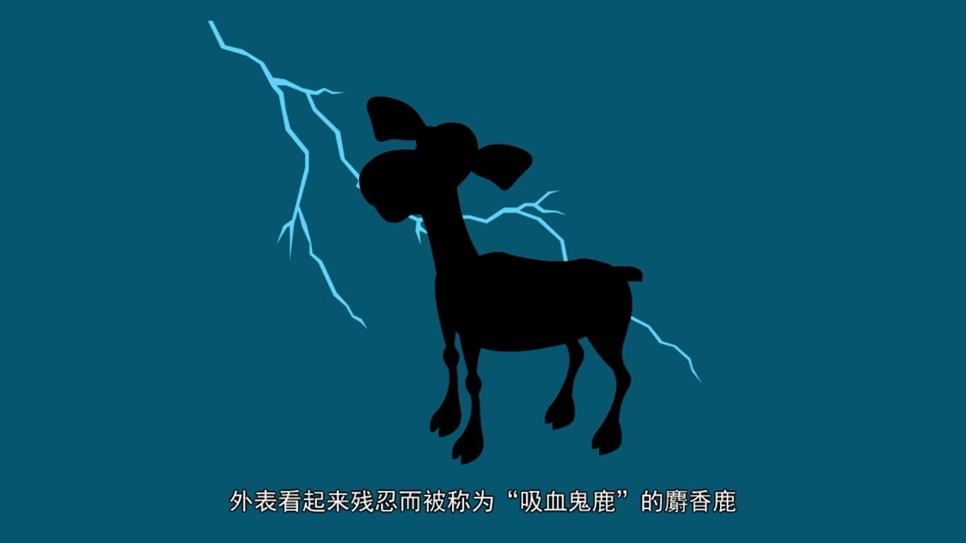 吸血鬼鹿的獠牙是用来吸血的吗
