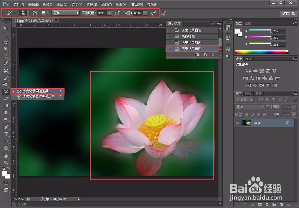 PS/photoshop入门级教程——工具栏详解四
