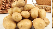 夏季降血压吃什么好