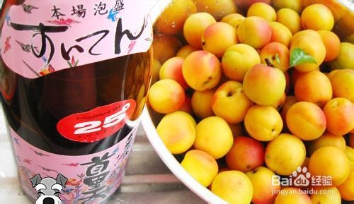 吃货自己做：[15]自酿杏子酒喝了忒开胃