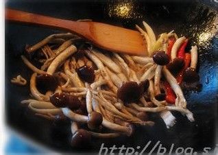 人人都想当演员----干煸茶树菇