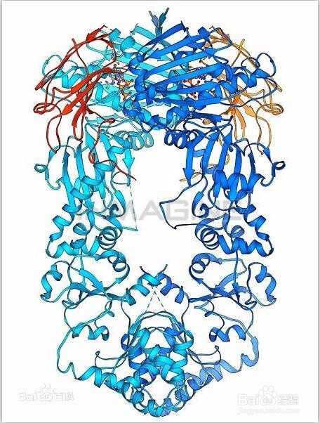 开发HSP潜能(间脑)开发的九大好处