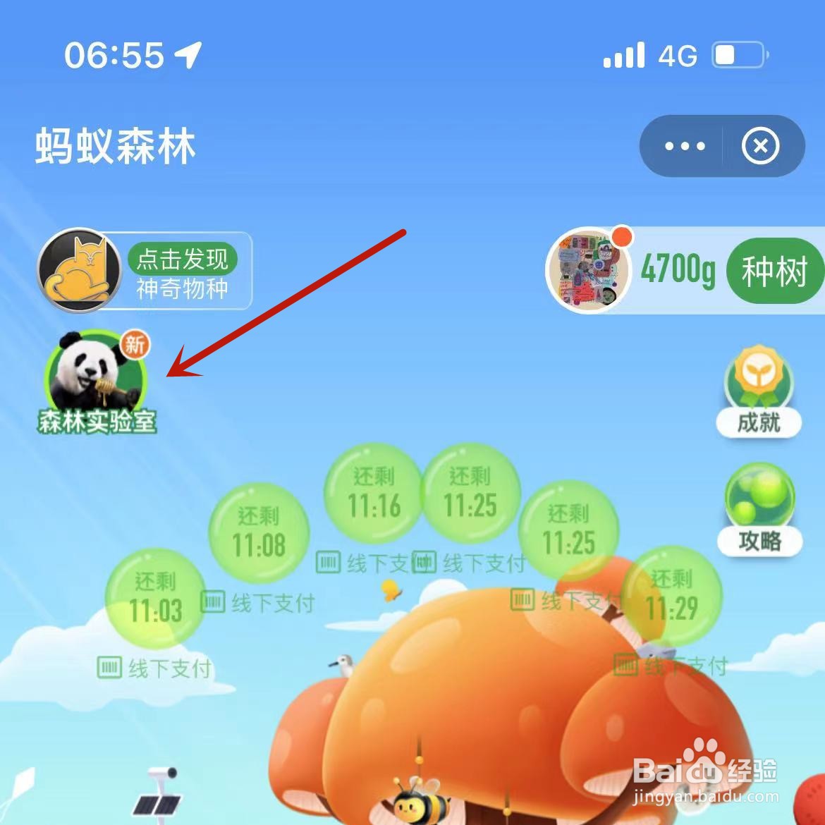 怎么参加蚂蚁庄园“森林实验室”活动