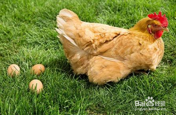 h7n9预防措施