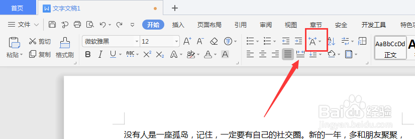 WPS文字文档中如何设置双行合一
