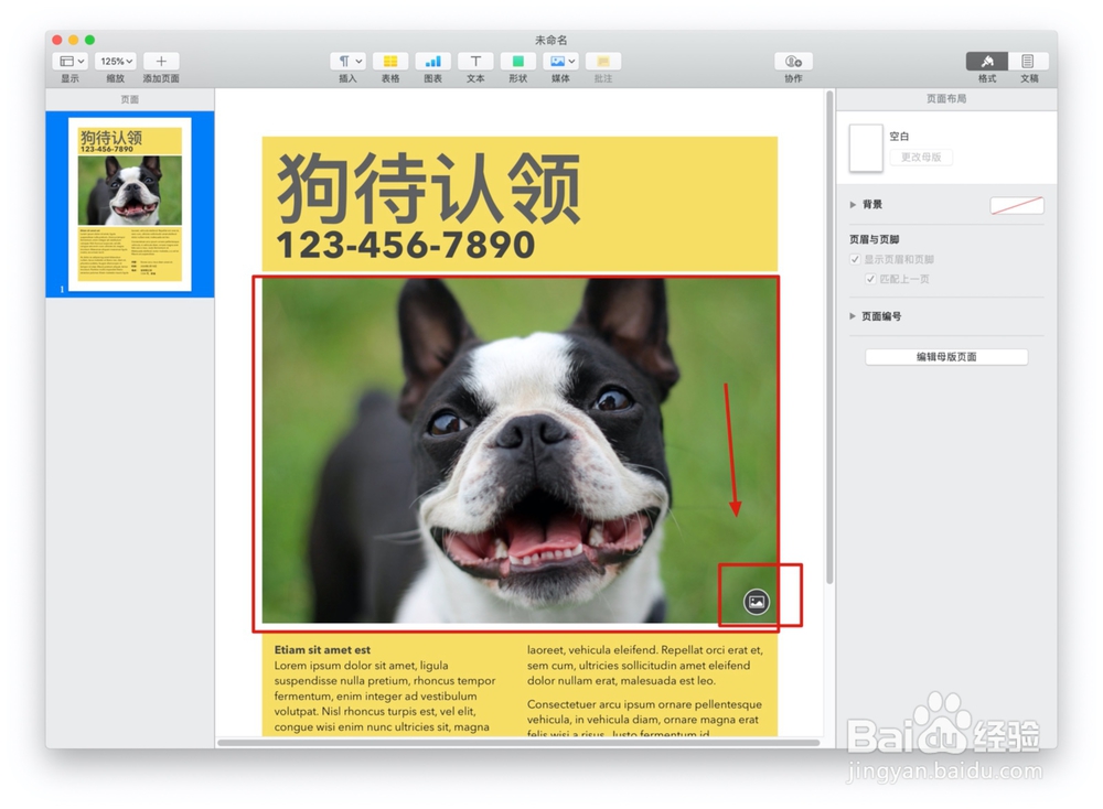 Pages文稿如何制作失物招领传单模板