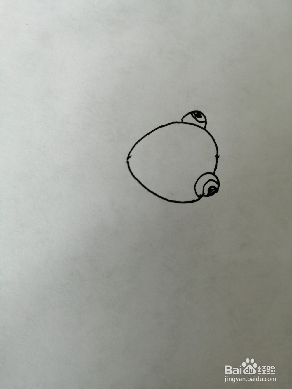 简单的小金鱼怎么画