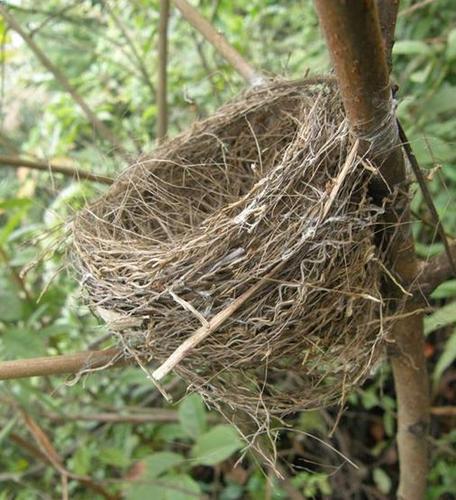 宜春城郊游玩周末徒步路线攻略