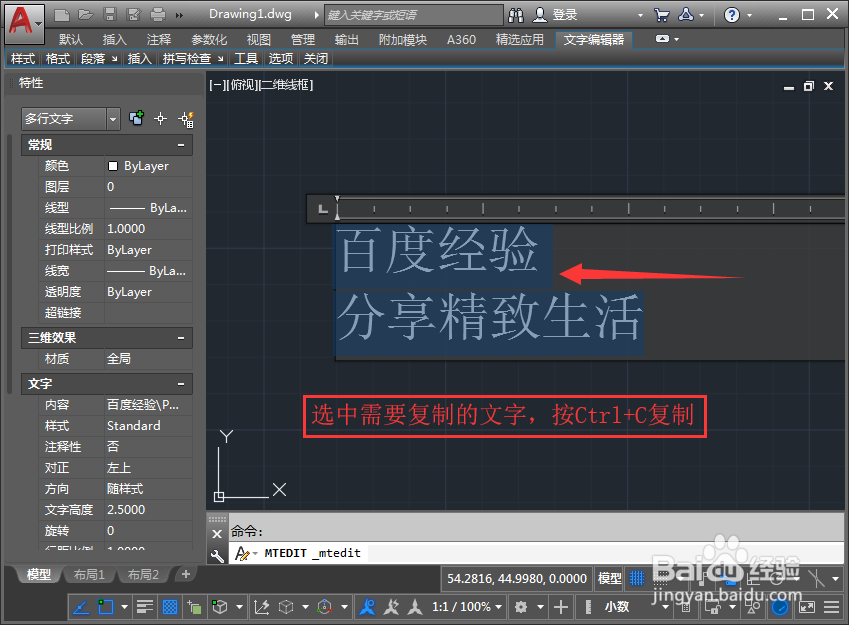 cad 如何复制多行文字到word