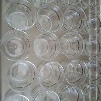 美容养颜的杨枝甘露