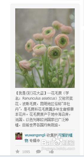 怎么跟你的网站引入大量的流量