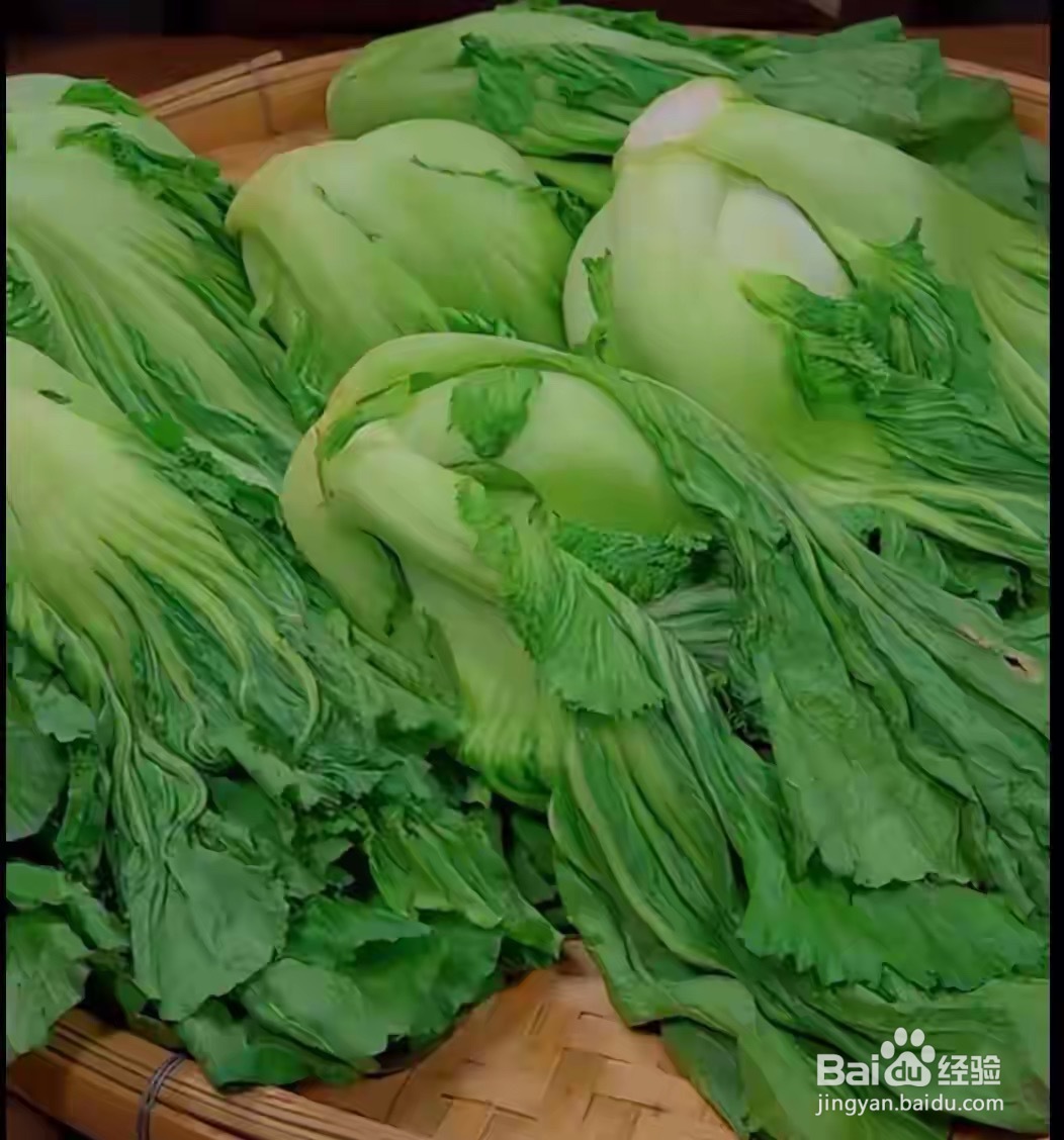 老缸酸菜的做法