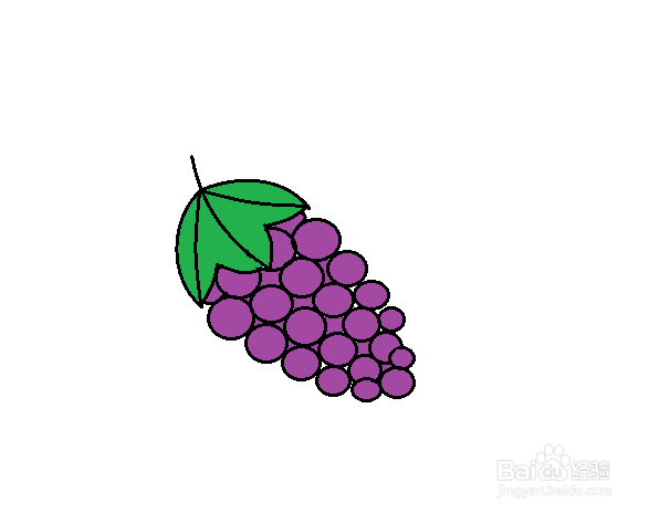 葡萄简笔画画法