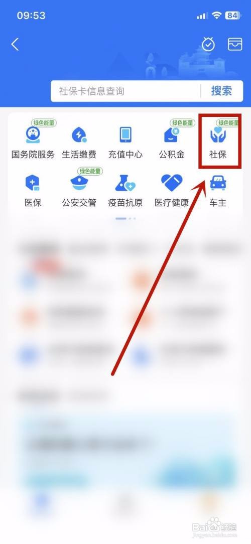 支付宝APP如何查看生育保险交没交