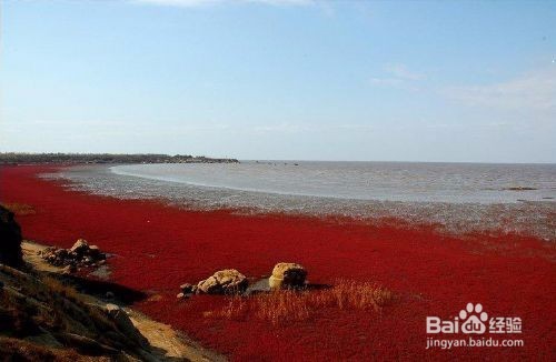 辽河三角洲湿地,大美红海滩