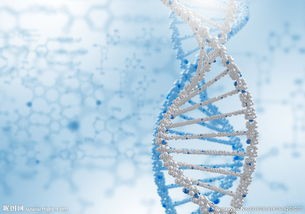 宝宝头发发量少什么原因？