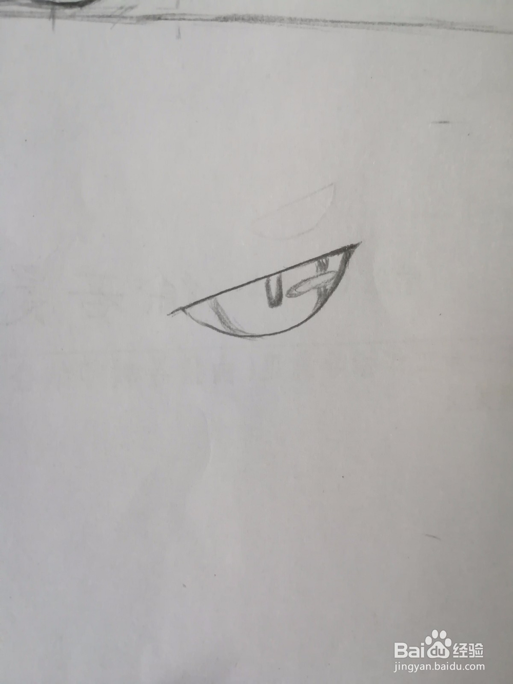 傲娇的小猫画法教程（2）——成型