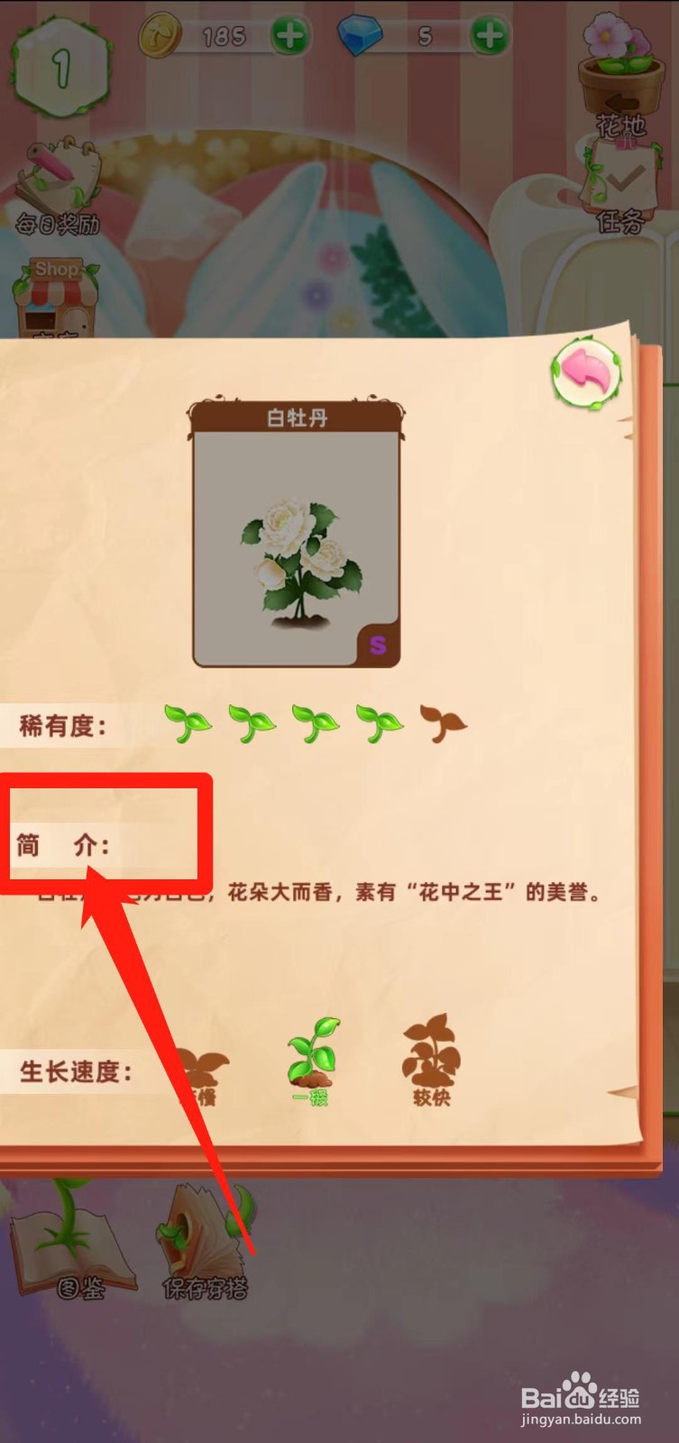 花花姑娘之魔法花园如何查看白牡丹简介