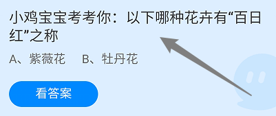 蚂蚁庄园答案以下哪种花卉有“百日红”之称