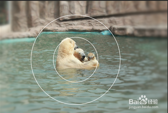 迅速让照片中的情侣更突出