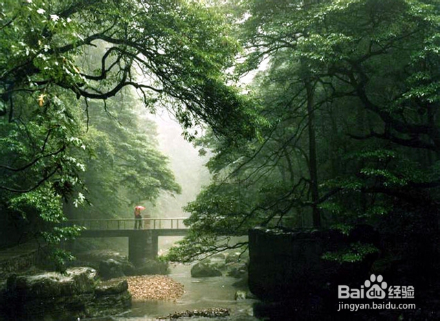 济南到张家界自助游