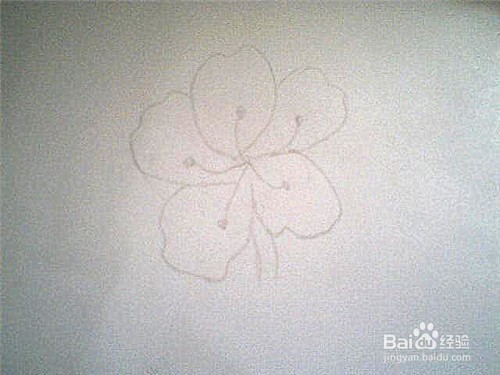 简笔画杜鹃花这样画