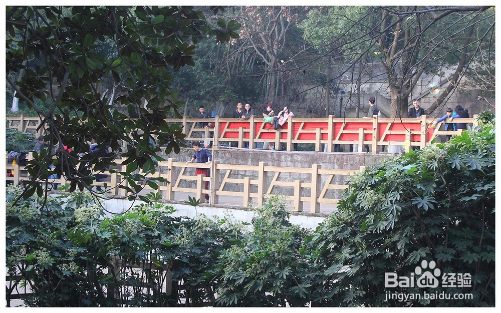 怎么拍摄公园景色