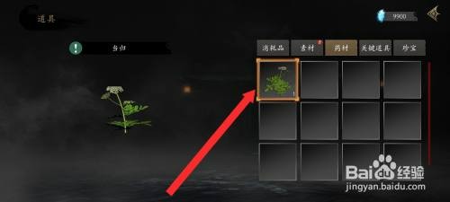 捕盗行纪如何才能查看获取到药材