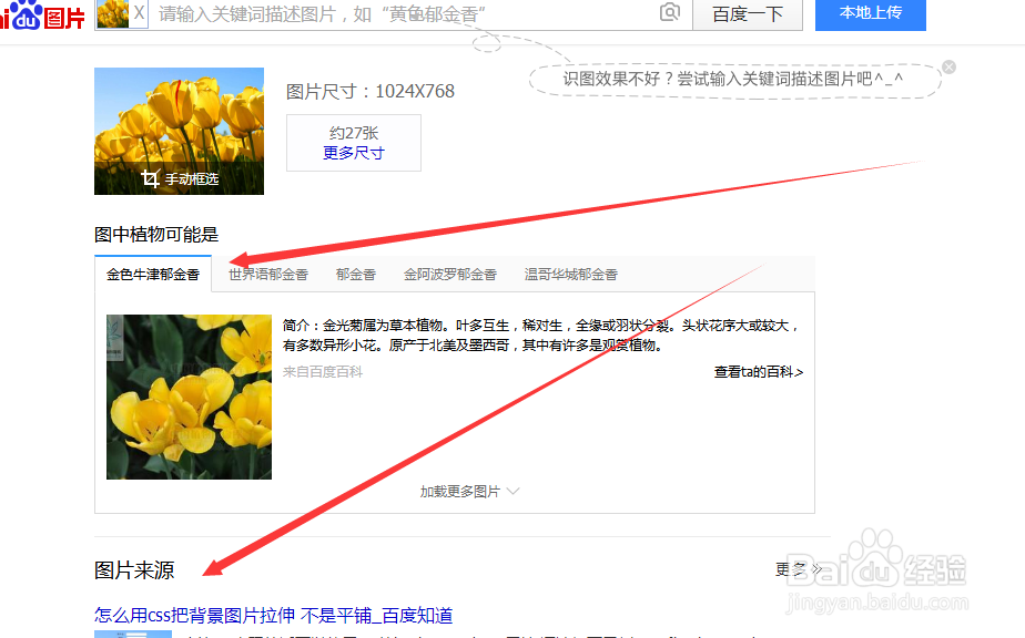 怎么用图片搜索图片的含义、来源