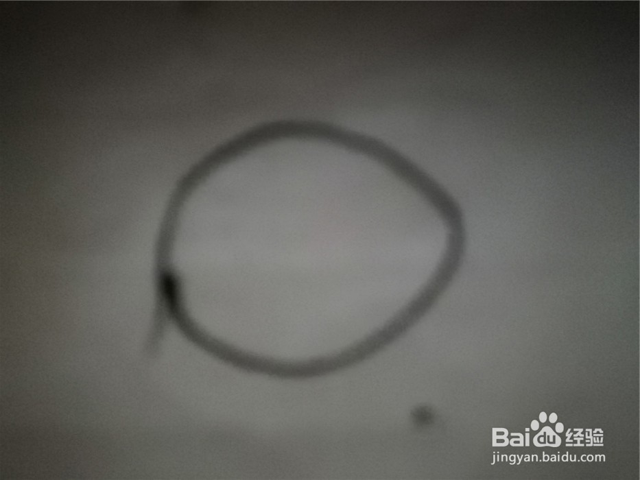 怎么样用简笔画画小兔子