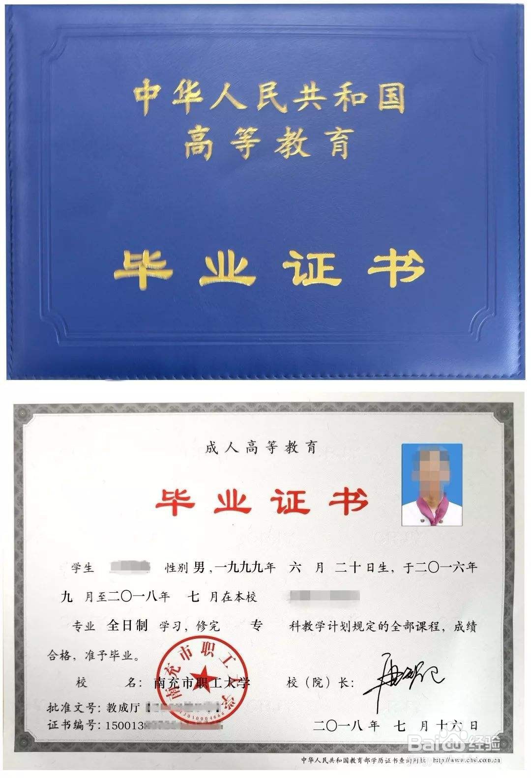 大专是什么学科