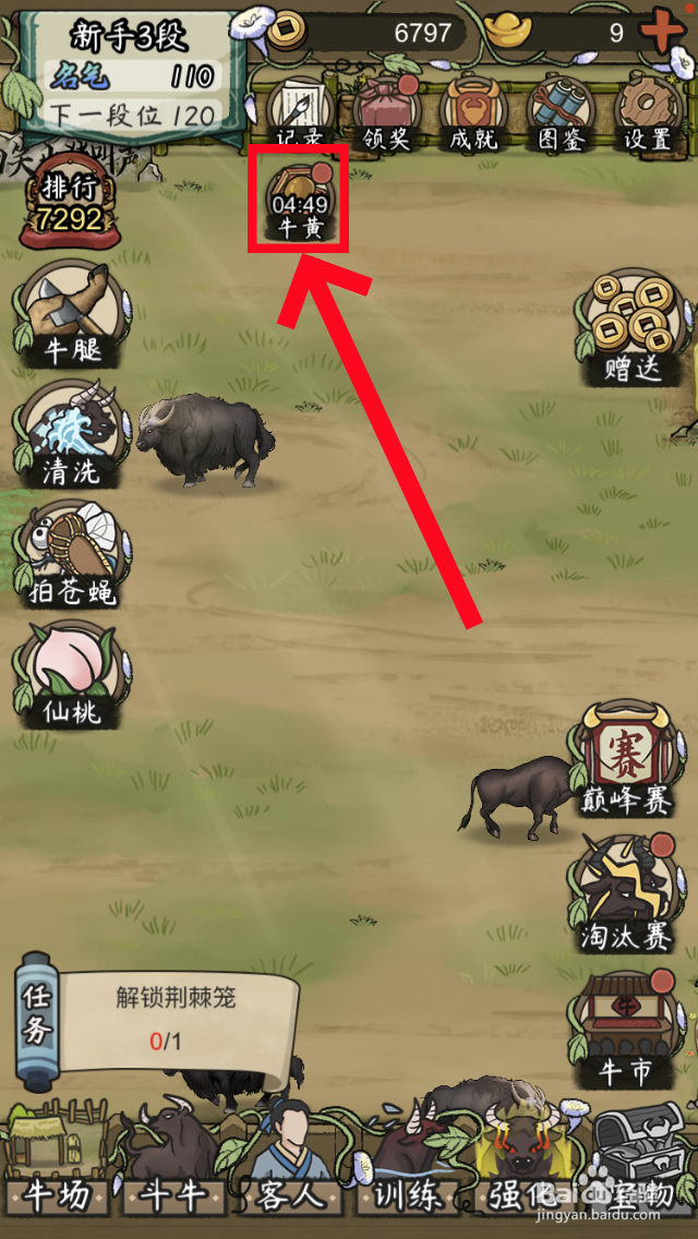 叫我斗牛王牛黄怎么出售