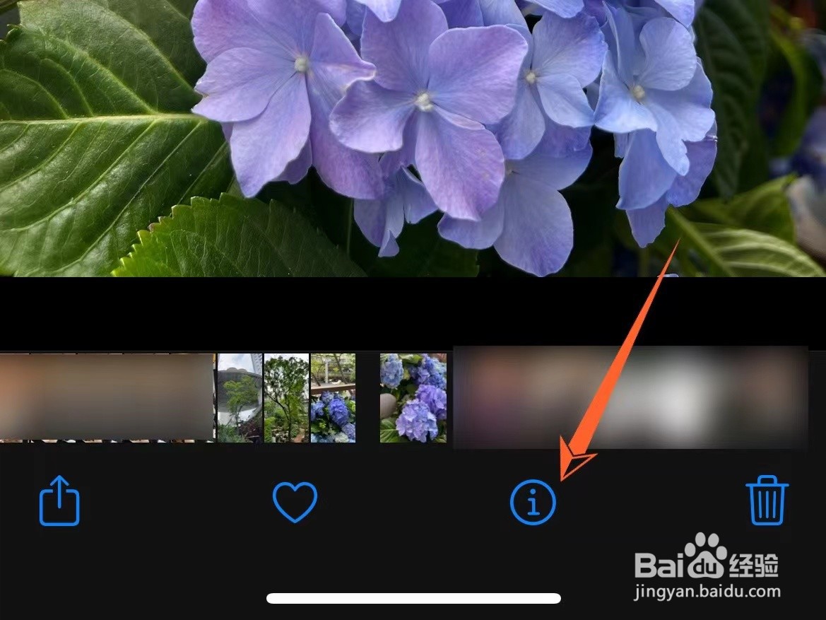 苹果手机怎么看单张照片有多大