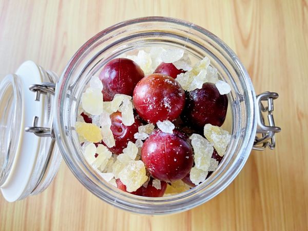 李子果酒做法简单