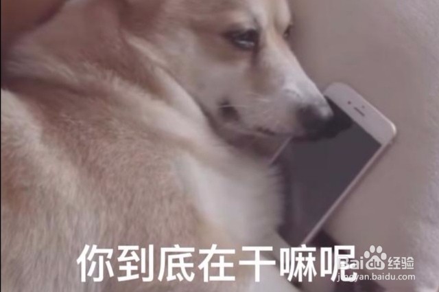 舔狗与暖男的区别