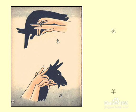 睡前跟孩子一起玩手影游戏吧