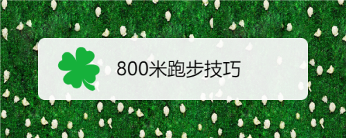 800米跑步技巧