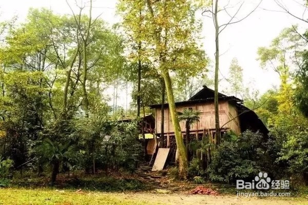 成都周边不得不去的七座小山