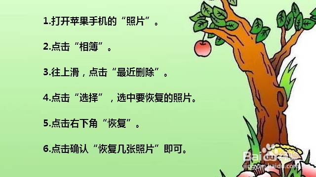 苹果手机删除的照片怎么找回