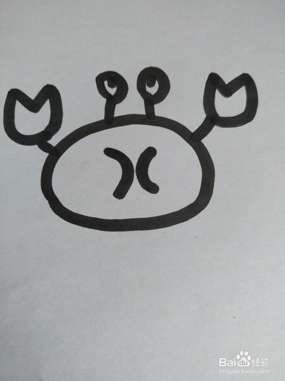 螃蟹的简笔画技法（十一）