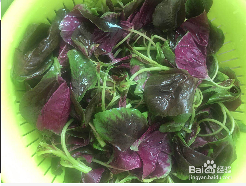 爆炒红苋菜怎么做