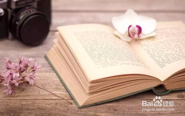 #过年#如何忙里偷闲陶冶情操